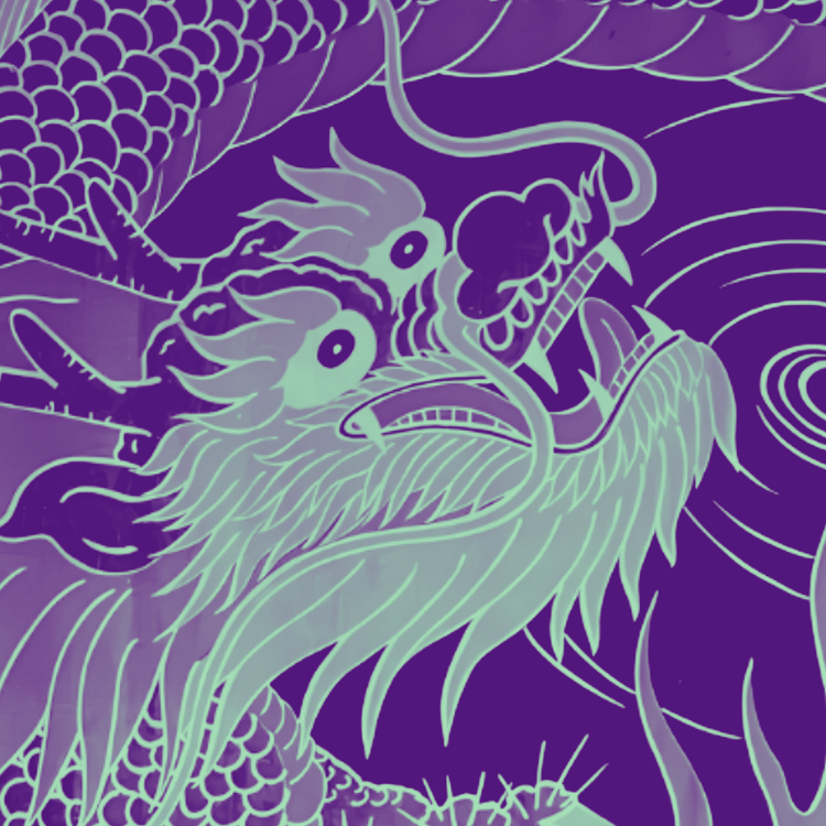 HEALING DRAGON Botanical Supplement